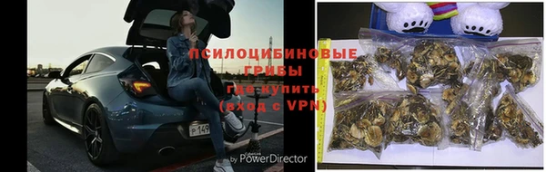 ALPHA PVP Каменка