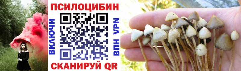 Псилоцибиновые грибы Psilocybine cubensis Усть-Катав