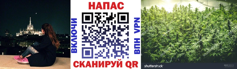 купить наркоту  Усть-Катав  мориарти официальный сайт  Бошки Шишки AK-47 